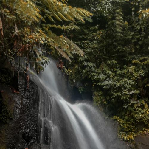 Waterfalls