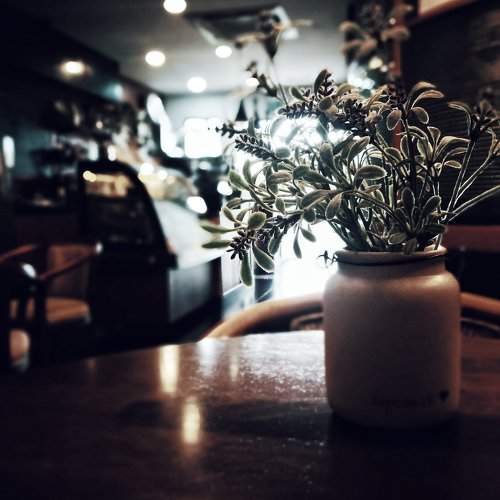 Waiting for breakfast
