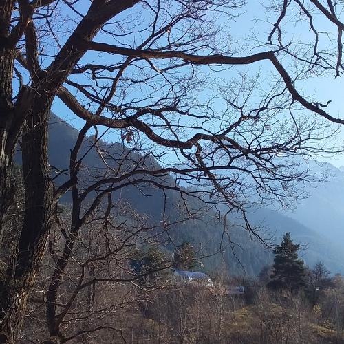 Photo #2715315