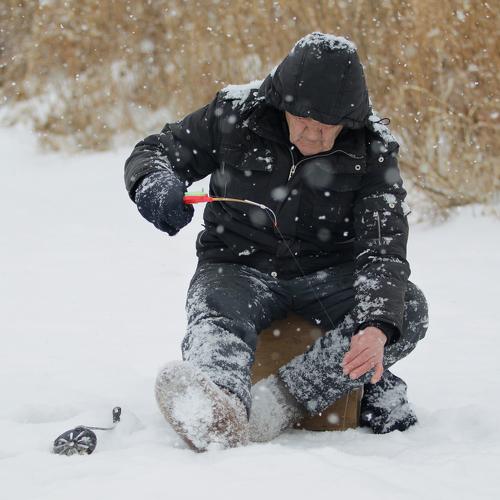 Photo #2716425