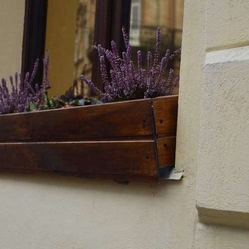 Photo #2717056