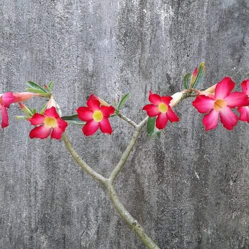 Photo #2717395