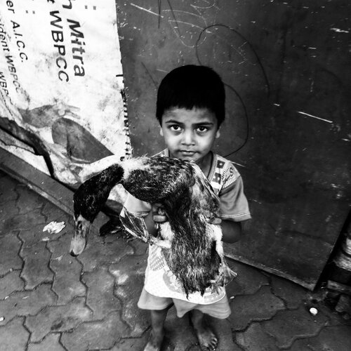 children with the animal