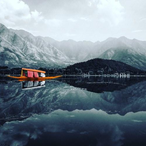 In The Midst of Dal Lake