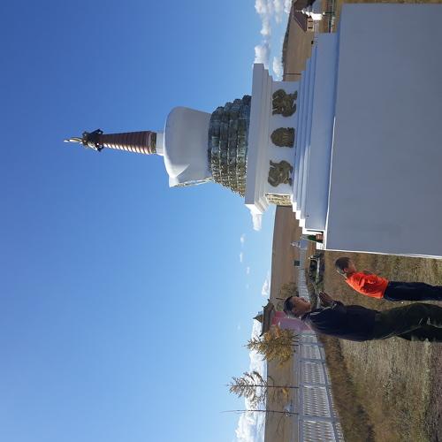 Photo #2720916