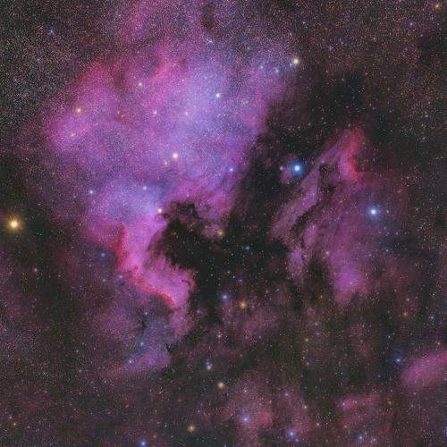 North American Nebula