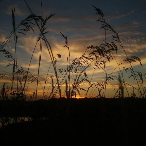 Photo #2723432