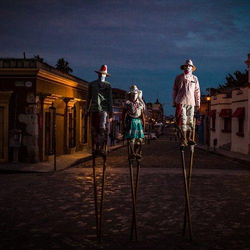 Zancudos de Zaachila