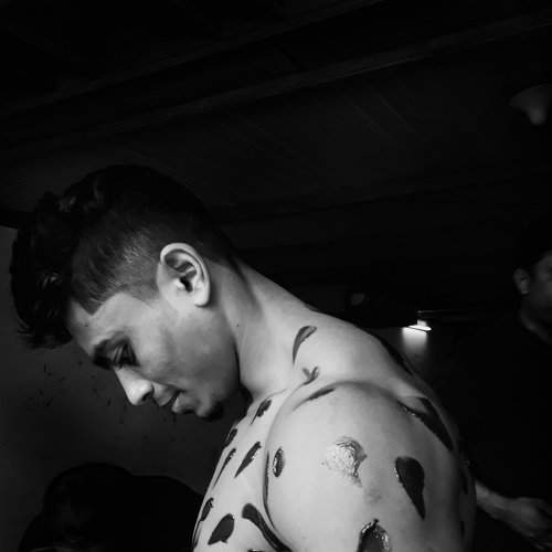 Photo #2724975