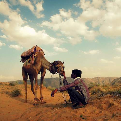 Love in the desert