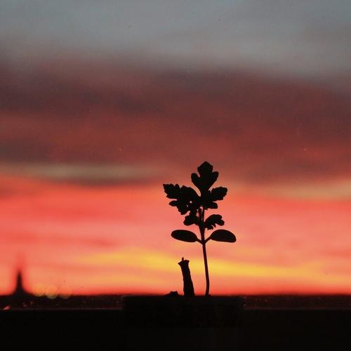 Photo #2726567