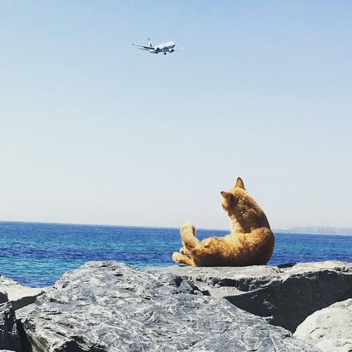 Photo #2726821