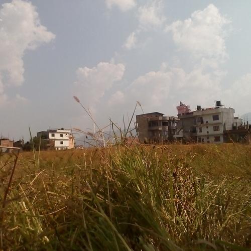 Photo #2734388