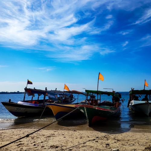The Boats