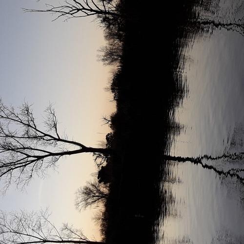 Atardecer en el rio