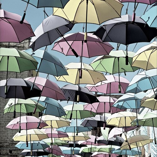 Under an Umbrella Sky