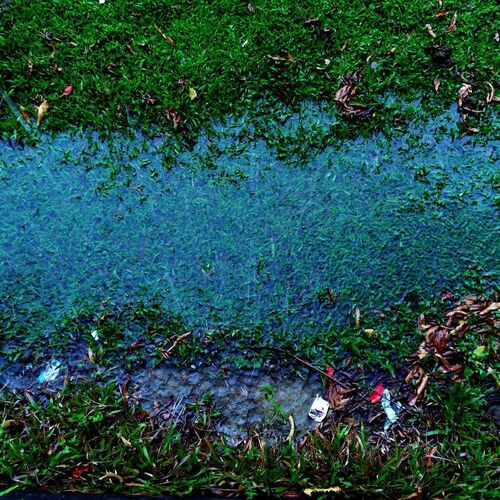 Sinking grass