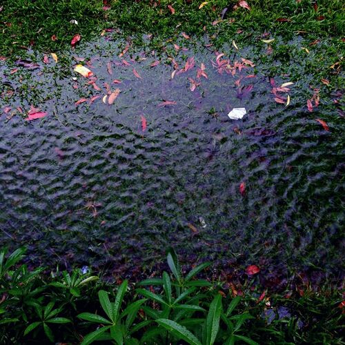 Rainfal