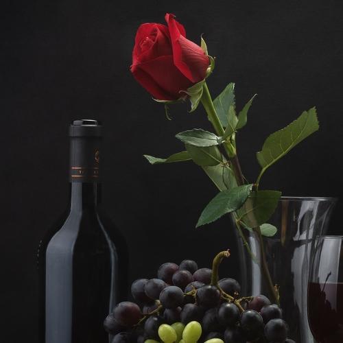 Photo #2740003