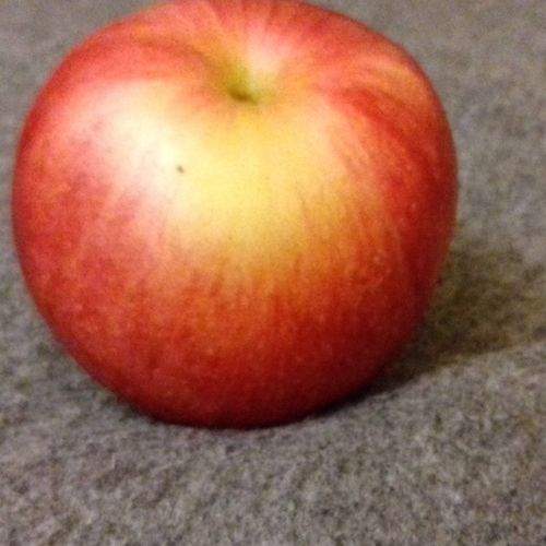 Photo #2740604