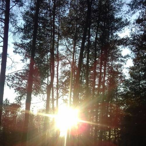 Photo #2741003