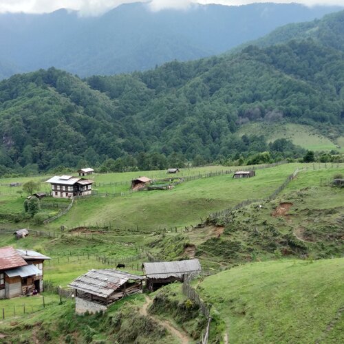Countryside