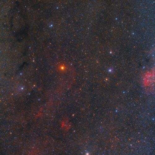 The exciting corner between elephant (Ic 1396) and lion (SH 132)