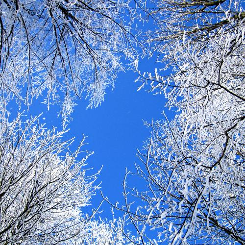 Photo #2743205