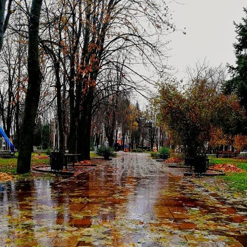 Красок несчесть