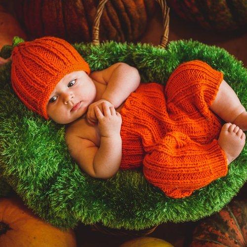 Photo #2743382