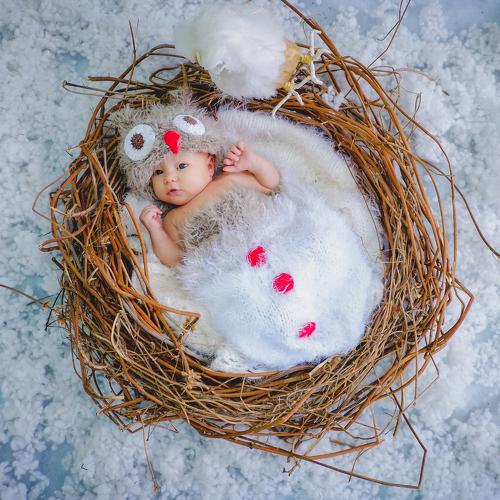 Photo #2743397