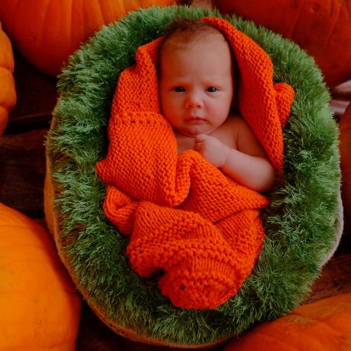 Photo #2743401