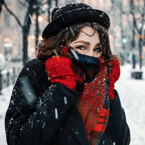 Vlada