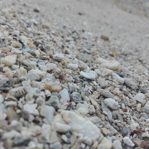 beach rocks