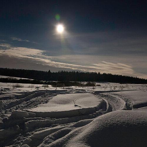 Photo #2746714