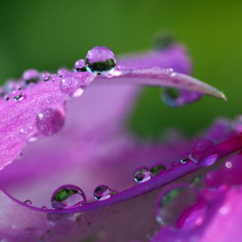 After the rain