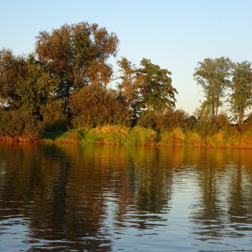 Краски осени в закате на Днепре