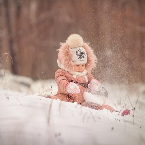 Photo #2748307