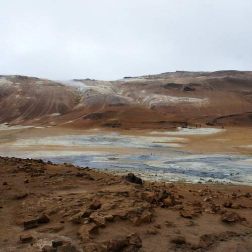 Martian fields