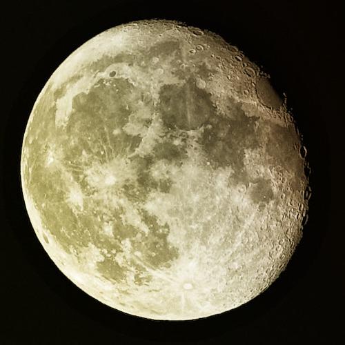 Photo #2749204