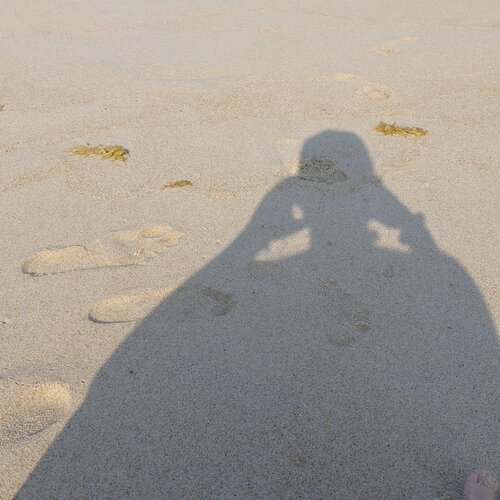 Under the Sun