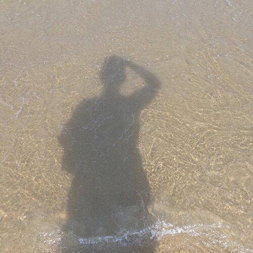 Freedom