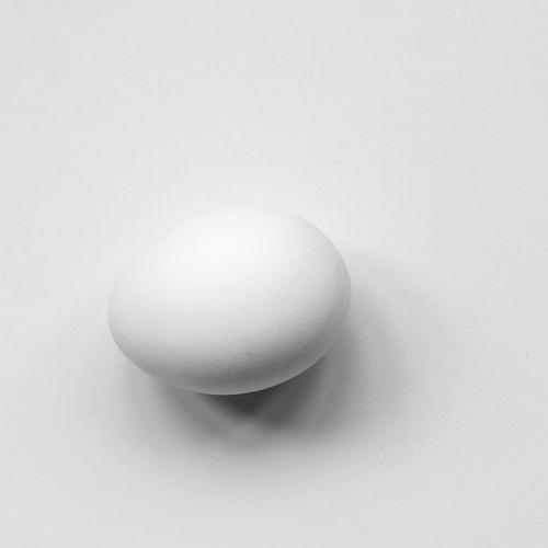 Initium vitae