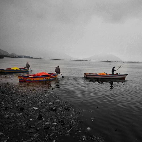 Sailing In Different Directions But Aspiring To Reach The Same Destination - Home !