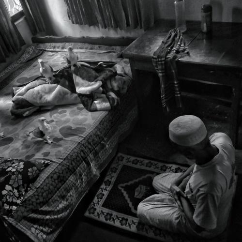 Prayer with Bird