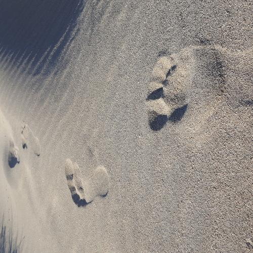 Follow me...
