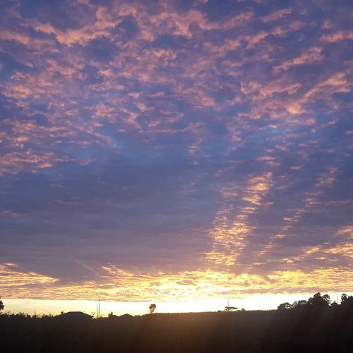 Sunrise