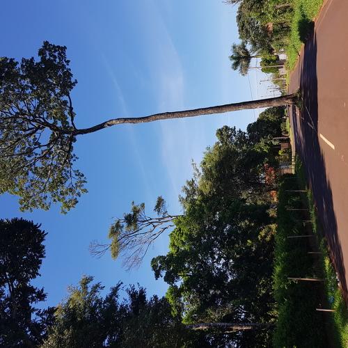 Respetando la Naturaleza