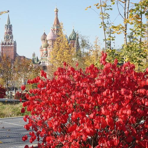 Осень в Зарядье 2018