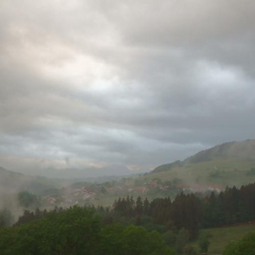 evening mood in southern black forest